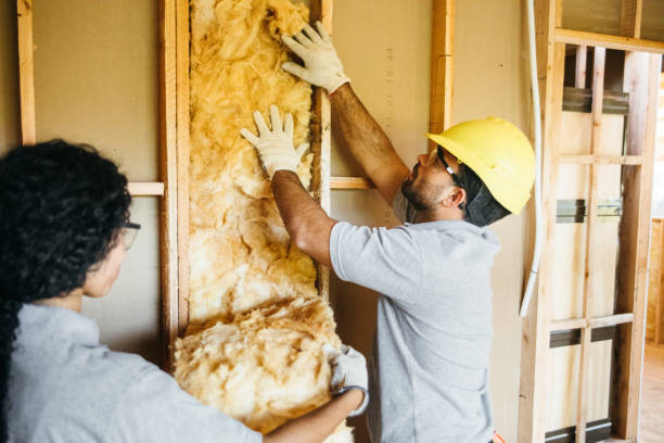 Insulation Repair Services in Coal Fork, WV