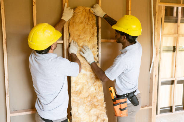 Garage Insulation Installation in Coal Fork, WV