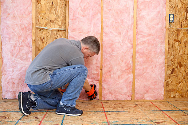 Best Best Insulation Companies  in Coal Fork, WV