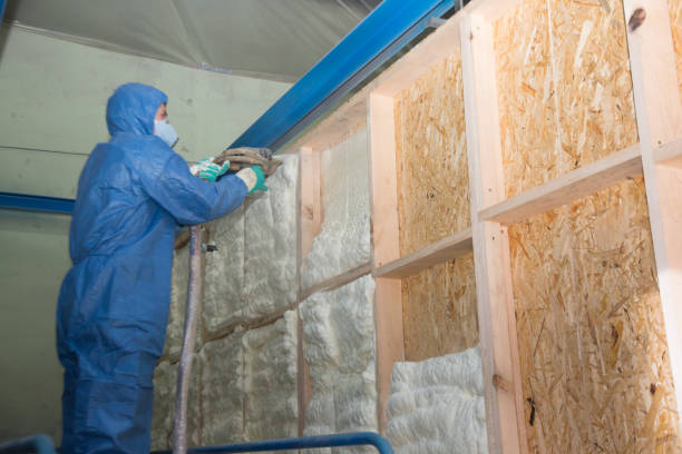 Best Insulation Contractors for Homes  in Coal Fork, WV